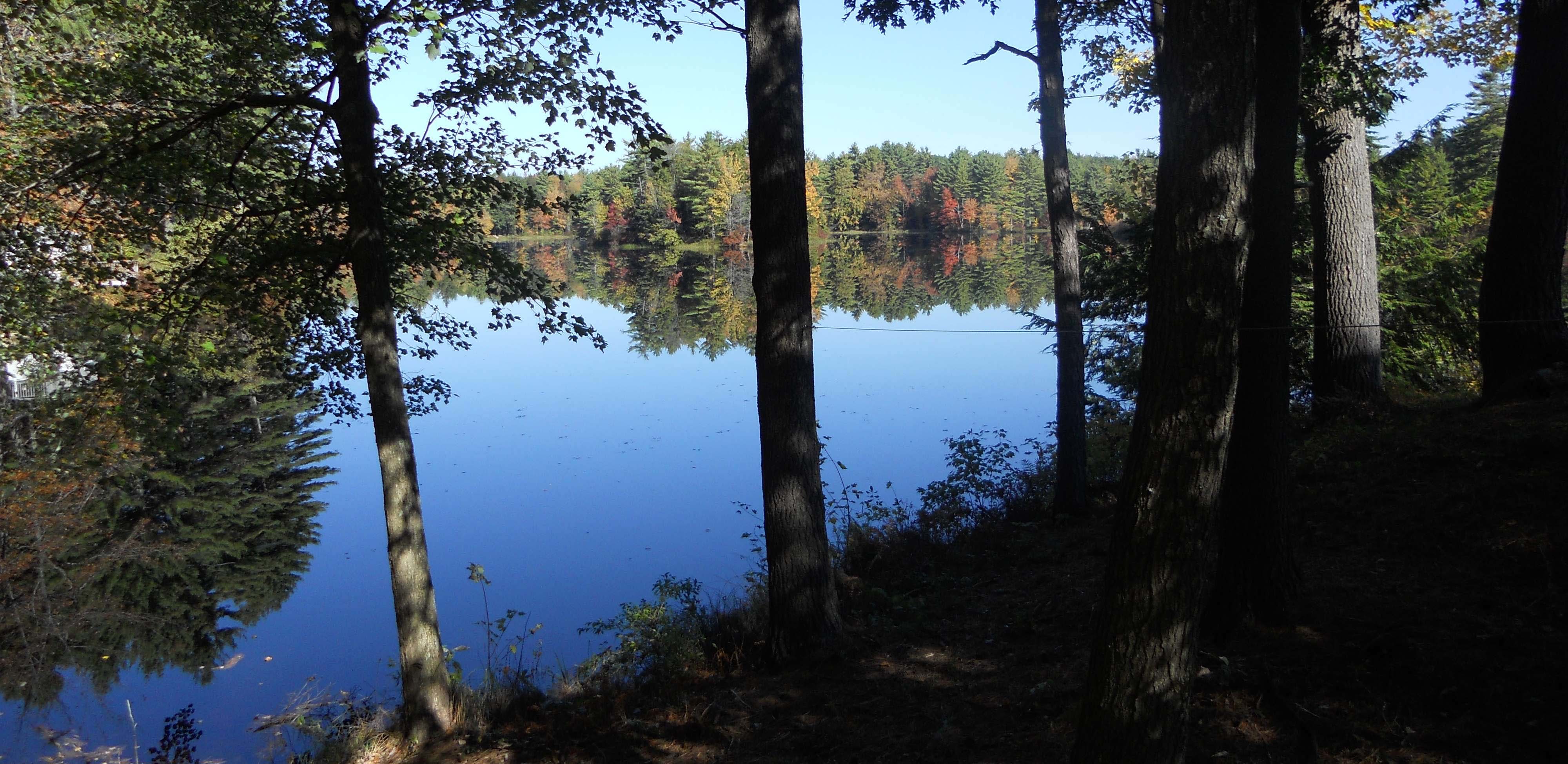 view from lodge